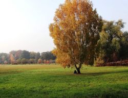 goldener-oktober-in-hirschgarten_22389767130_o
